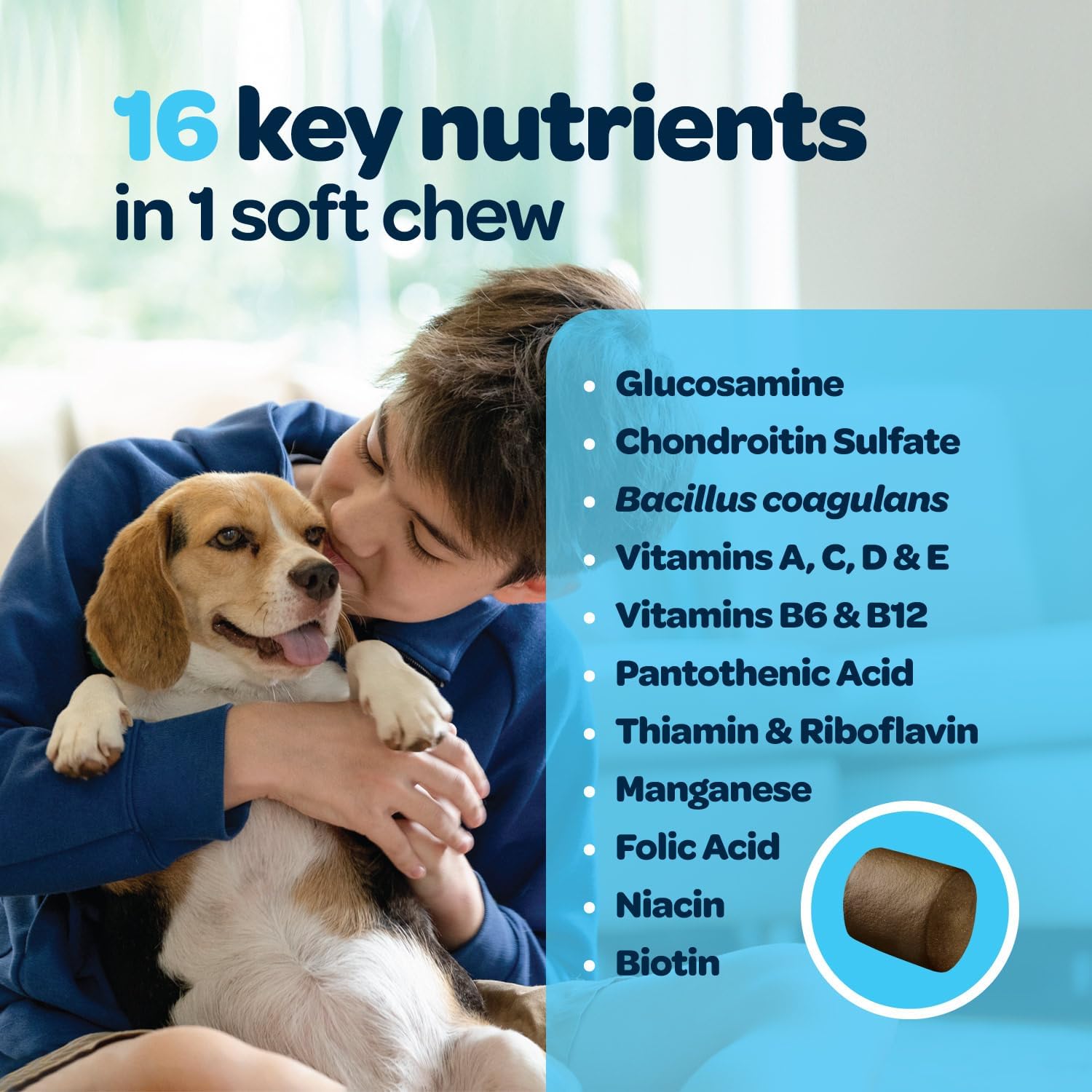 12-in-1 Complete Multivitamin for Dogs - 60 Chews - görsel 4