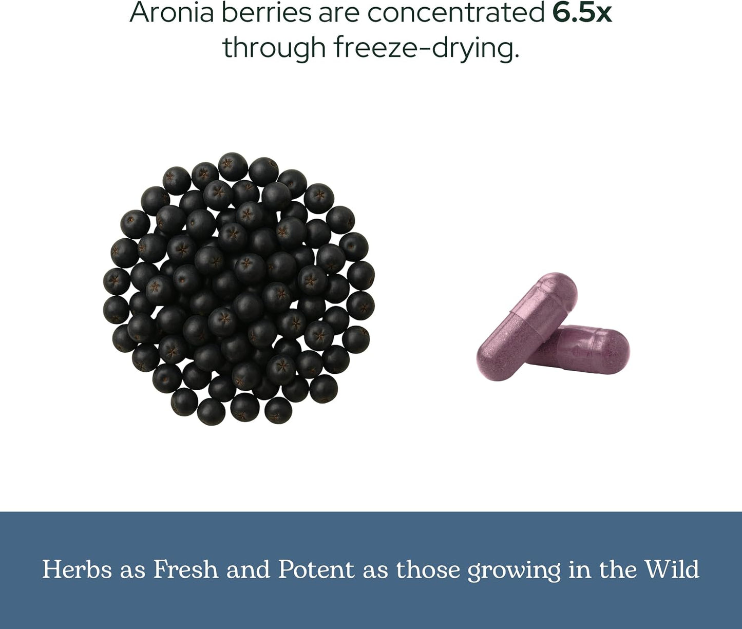 Eclectic Institute Raw Freeze-Dried Organic Aronia Berry Capsules - 90 Capsules (450 mg Each) - görsel 6