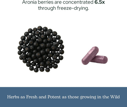 Eclectic Institute Raw Freeze-Dried Organic Aronia Berry Capsules - 90 Capsules (450 mg Each)