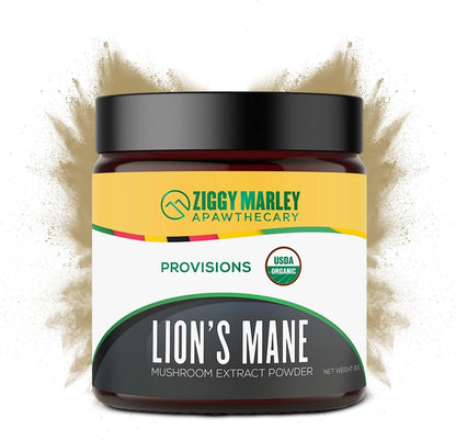 ZMA PETS Organic Lion's Mane Mushroom Powder for Dogs and Cats – Cognitive Support, USDA Organic, 45 Servings