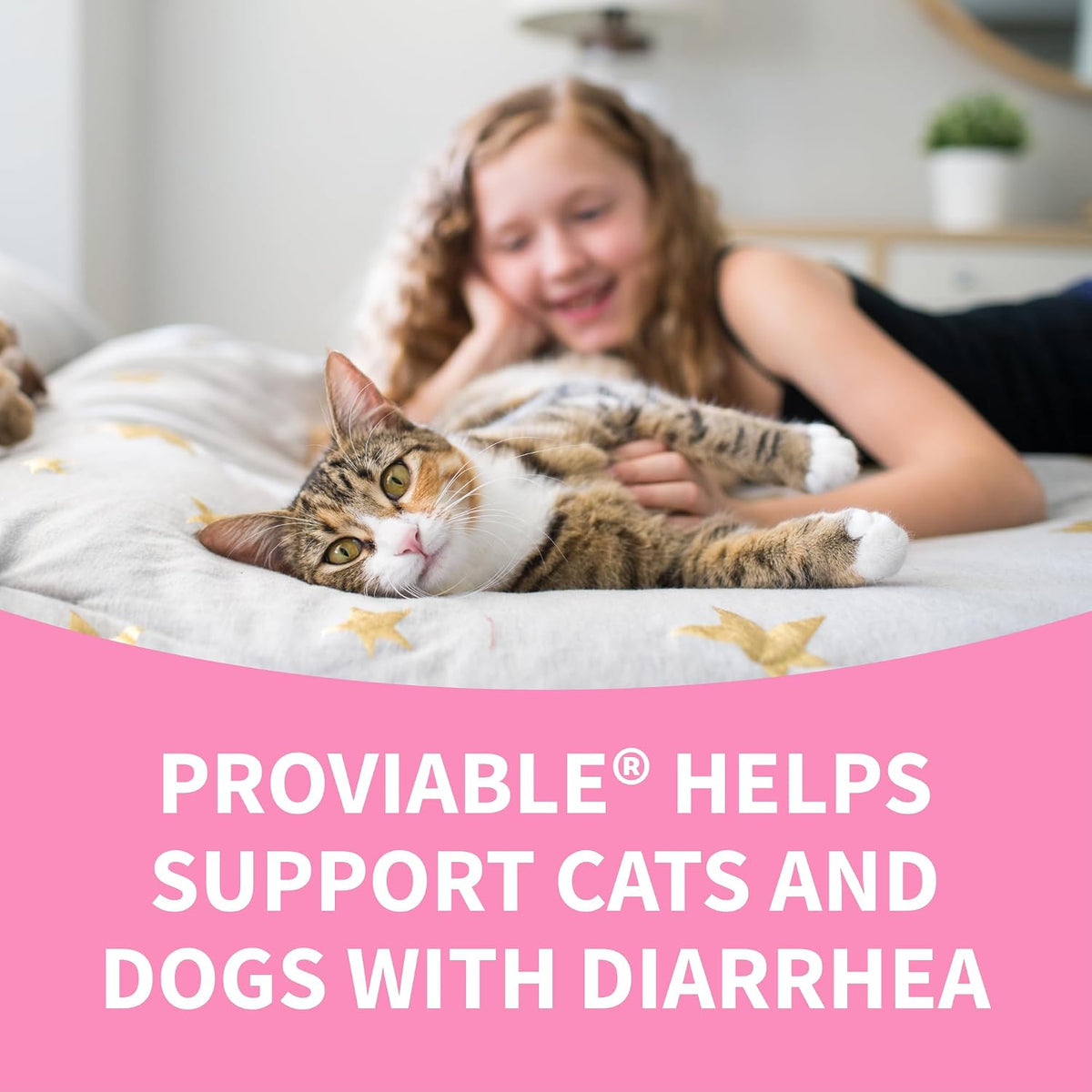 Nutramax Proviable Probiotics for Dogs and Cats – Daily Digestive Health Supplement, 30 Capsules - görsel 9