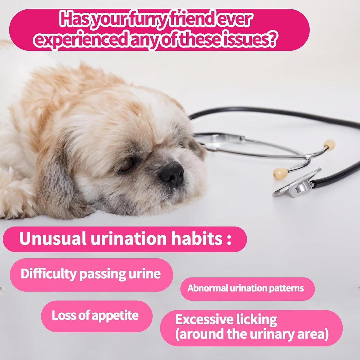 Cranberry Supplement for Dogs, Urinary Tract & Bladder Support - Cranberry Chews with D-Mannose - Kidney+Bladder, Digestion & Immune Support - 200 Chews, Chicken Flavour - görsel 2