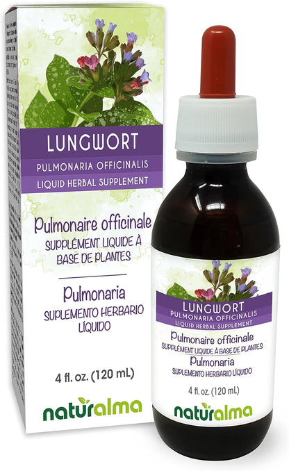 Naturalma Lungwort (Pulmonaria officinalis) Herb with Flowers Alcohol-Free Glycerite - 118 ml Liquid Extract in Drops - Herbal Supplement - Vegan