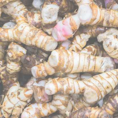 PURE ORIGINAL INGREDIENTS Galangal Root Capsules (100 Capsules) - Single Ingredient, No Additives, Lab Tested
