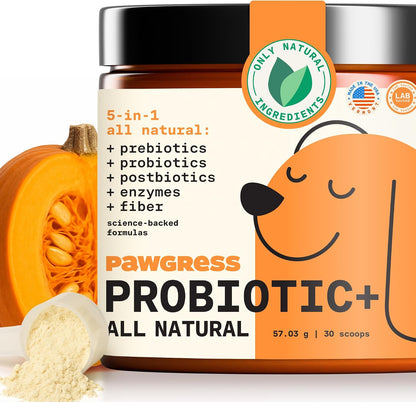 Pawgress 5-in-1 Dog Probiotic Powder – Natural Gut Health Support with Prebiotics, Postbiotics & Enzymes – Made in the USA – 30 Scoops