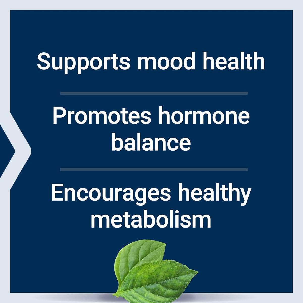 Life Extension Inositol Caps – 1000 mg, Myo-Inositol – Mood Health, Wellbeing, Healthy Metabolism, Hormone Balance – Gluten-Free, Non-GM, Vegetarian – 360 Capsules - görsel 4