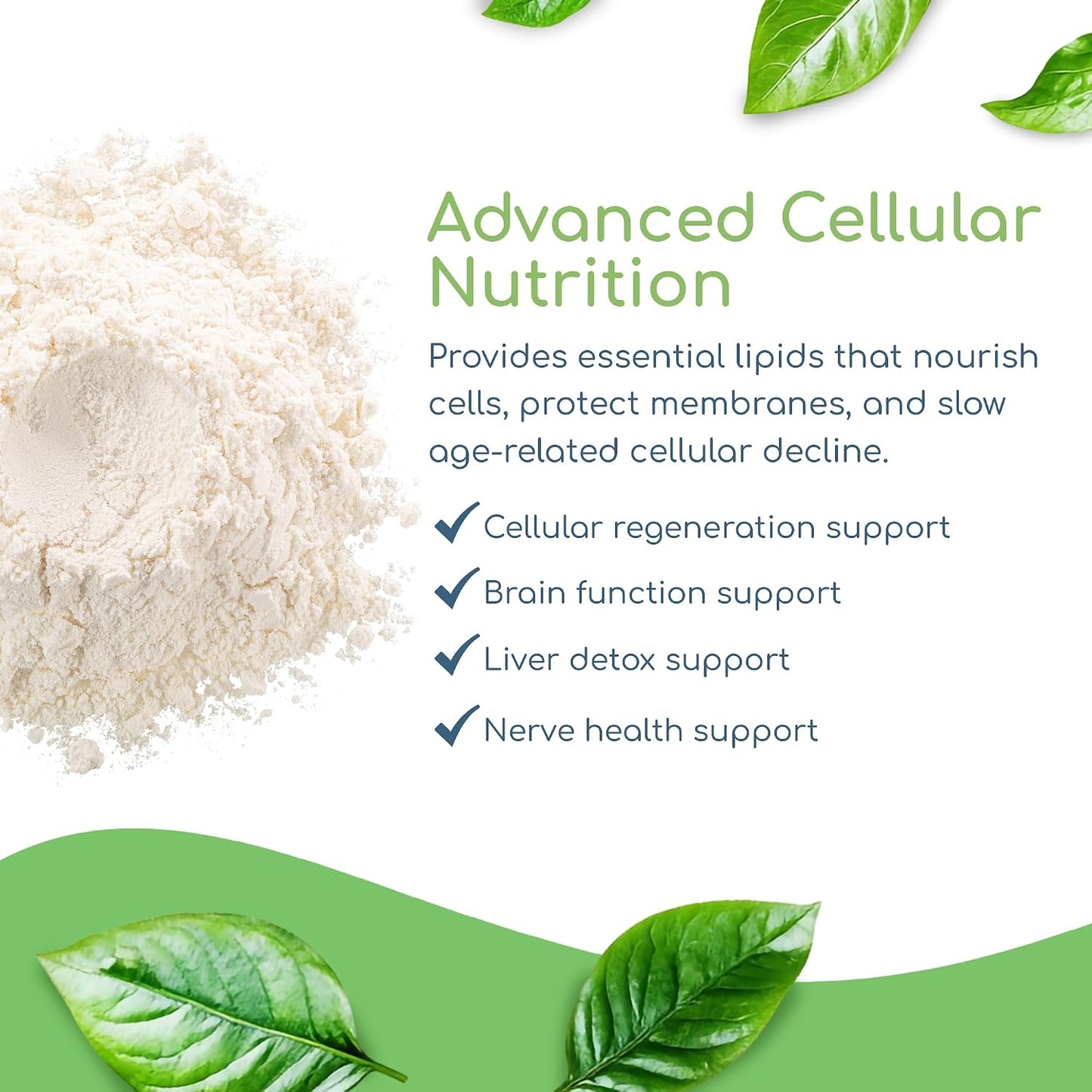Return Healthy Phospholipid Synergy Powder - Antioxidant Food Supplement for Cellular Repair, Brain Health & Liver Detox (270g) - görsel 4