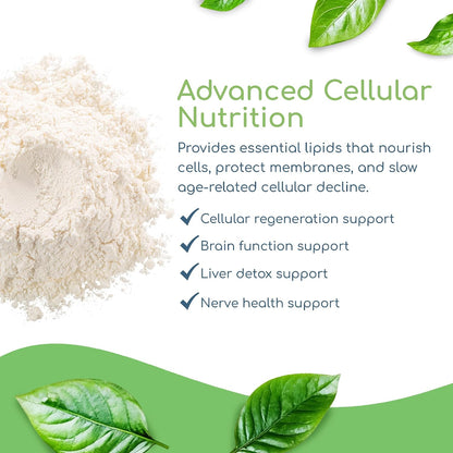 Return Healthy Phospholipid Synergy Powder - Antioxidant Food Supplement for Cellular Repair, Brain Health & Liver Detox (270g)