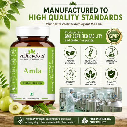 VEDIKROOTS Organic Amla Capsules – Natural Vitamin C Supplement for Immune & Hair Health (60 Capsules, Pack of 2)