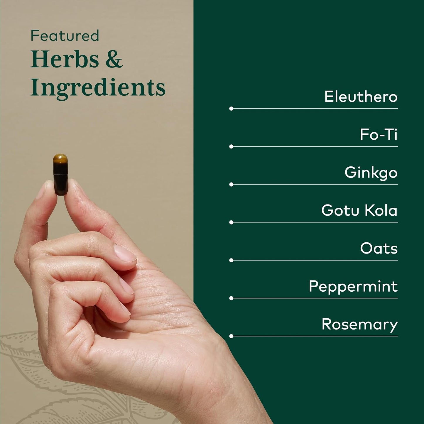 GAIA HERBS PRO Cognitive Formula - Brain Health & Blood Flow Support with Fo-Ti Root, Ginkgo Leaf, & Gotu Kola Leaf - 60 Liquid Phyto-Caps (30 Servings) - görsel 4