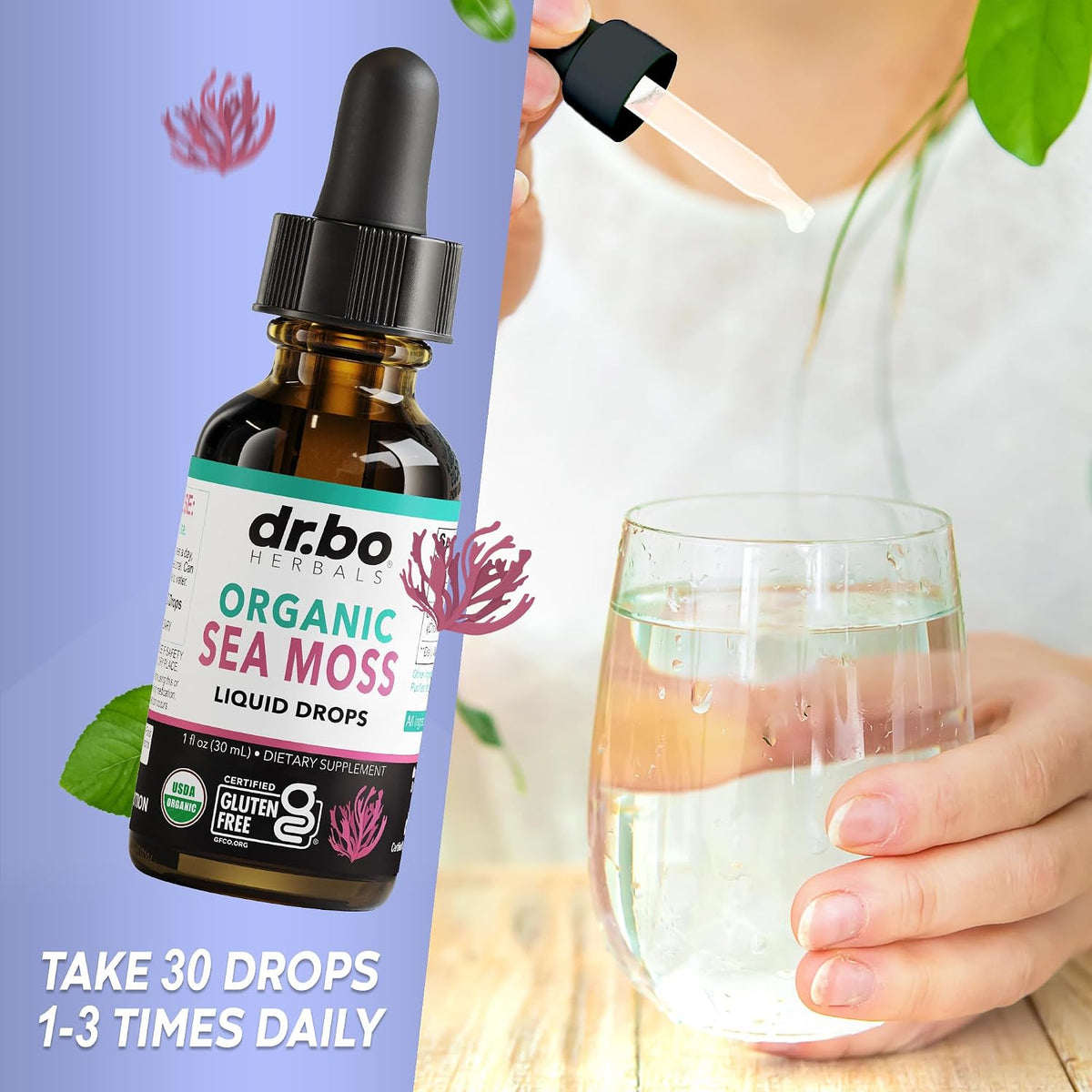 Irish Sea Moss Liquid Drops – Organic, – Skin Health: Sea moss is known for its sulphur content, which supports – Image 7