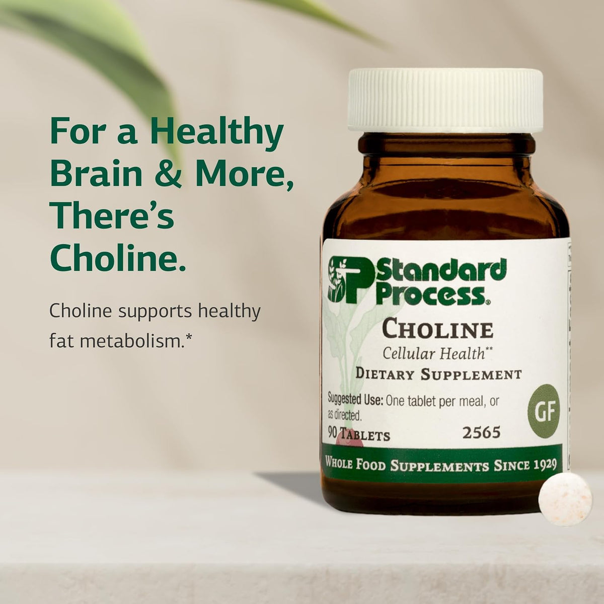 Standard Process Choline - Supports Healthy Fat Metabolism, Liver Health & Nervous System Function - Gluten-Free, Non-Dairy & Vegetarian -180 mg, 90 Tablets - görsel 3