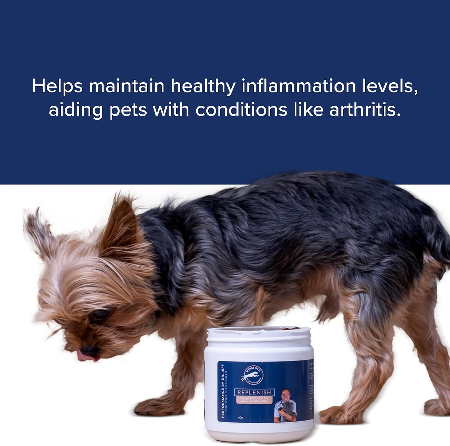 Dr. Jeff Werber Replenish Omega-3 Fatty Acid Chews for Dogs – Small/Medium, 60 Count - görsel 7