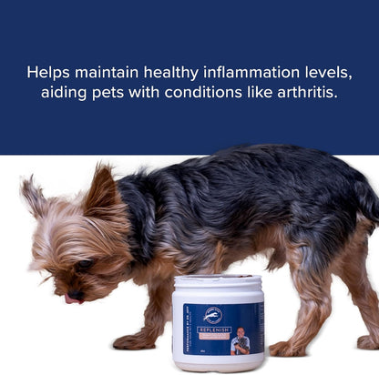 Dr. Jeff Werber Replenish Omega-3 Fatty Acid Chews for Dogs – Small/Medium, 60 Count