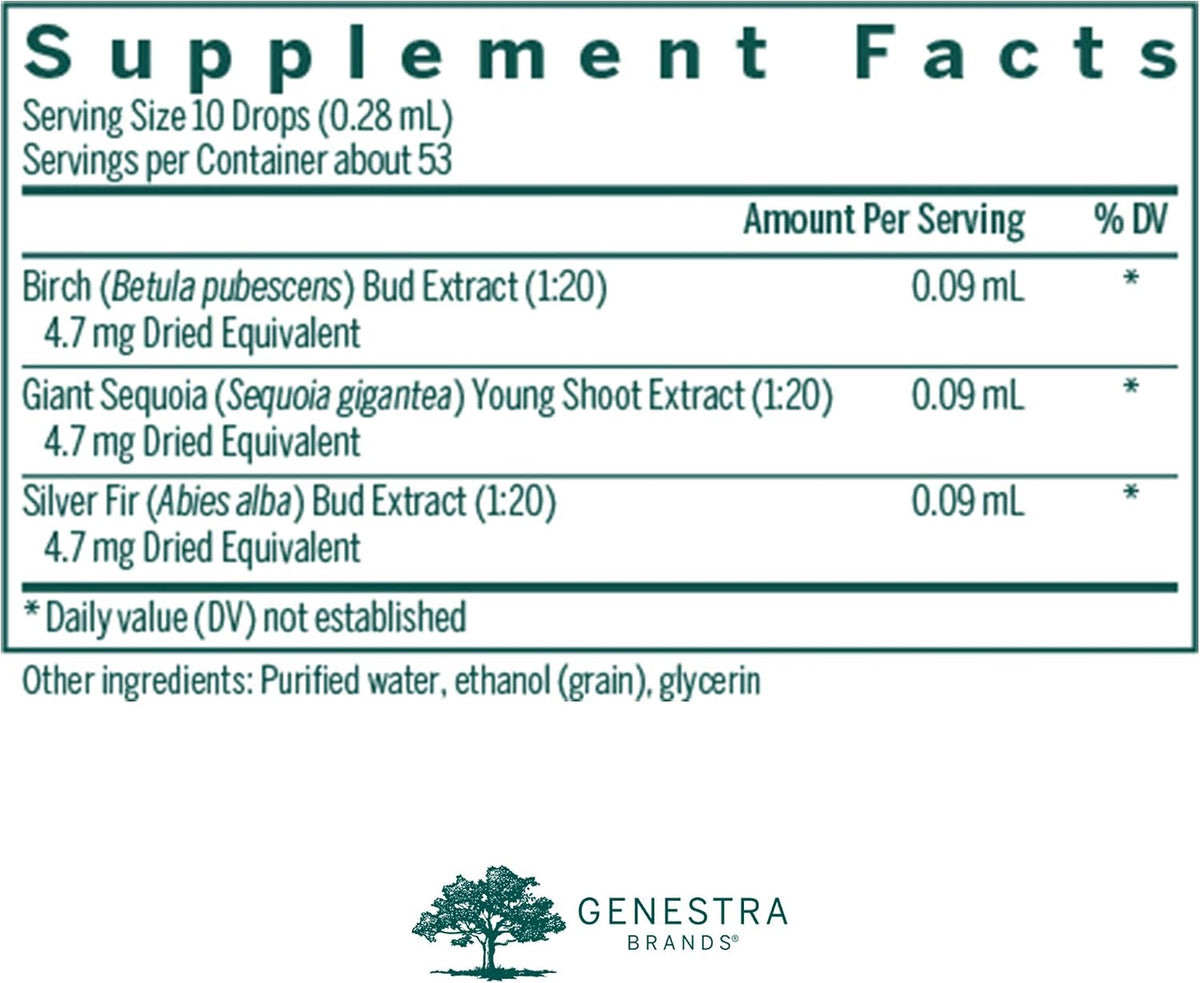 Genestra Brands Bn-gen – White Birch, Giant Sequoia and Silver Fir Herbal Supplement, 15 ml - görsel 2