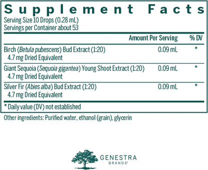 Genestra Brands Bn-gen – White Birch, Giant Sequoia and Silver Fir Herbal Supplement, 15 ml
