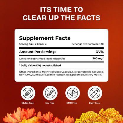 Liposomal NMNH Supplement 300mg – Boosts – Designed for Healthy Ageing: NAD+ plays a role in cellular processes – Image 6