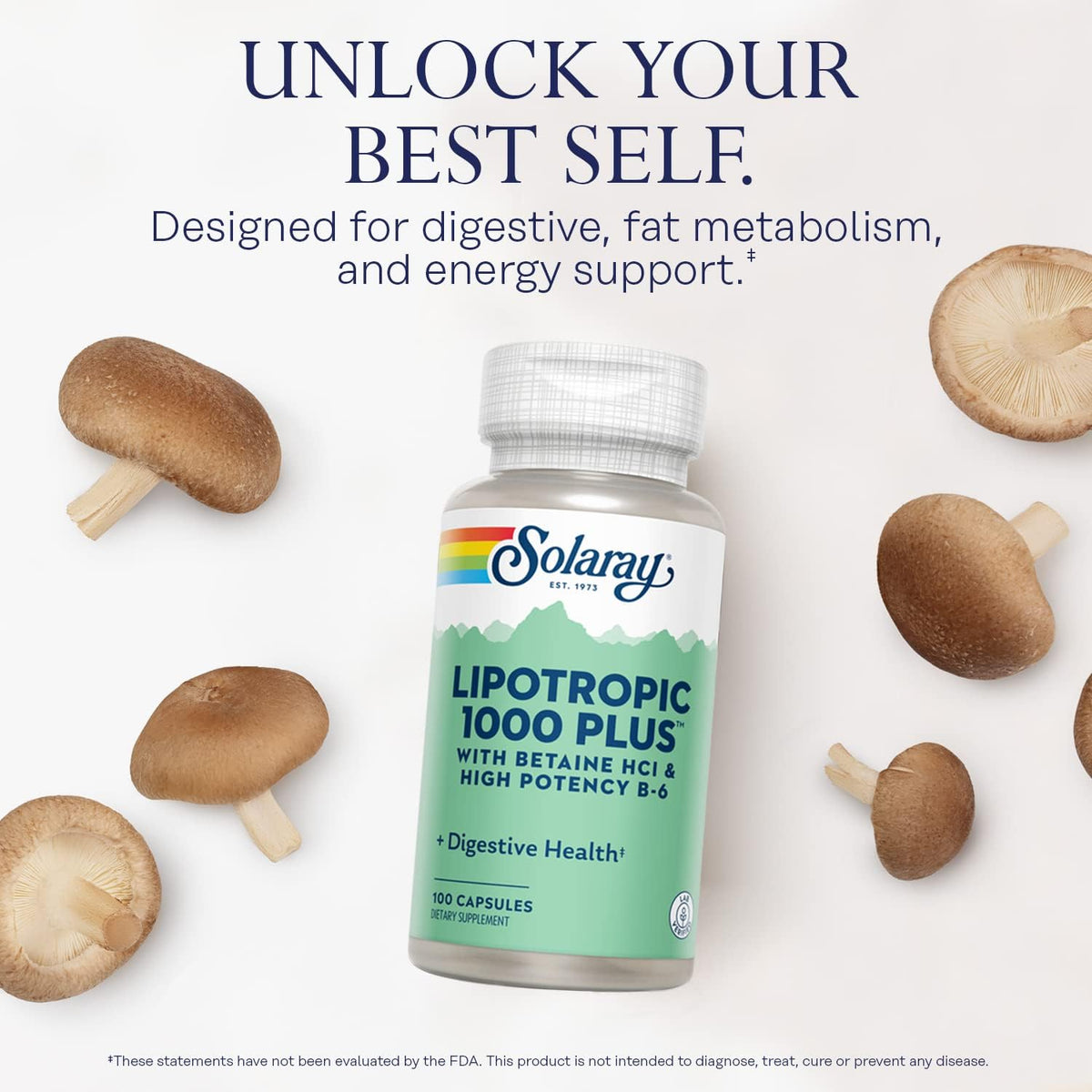 SOLARAY Lipotropic 1000 Plus – 100 Capsules - görsel 5