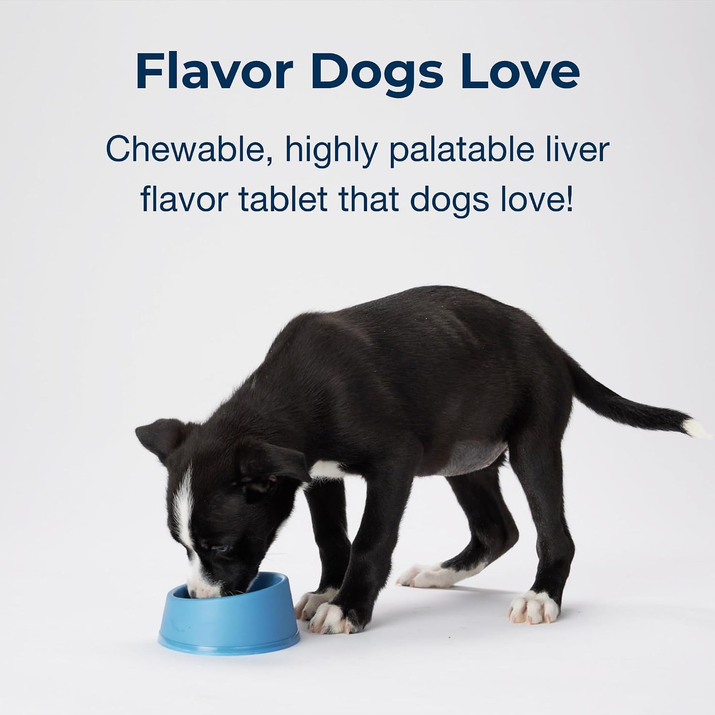 PetAg Sure Grow 100 - Promotes Optimal Bone Development in Puppies Eight Weeks and Older - with Calcium, Phosphorus, and Vitamins A & D - 100 Chewable Tablets - görsel 5