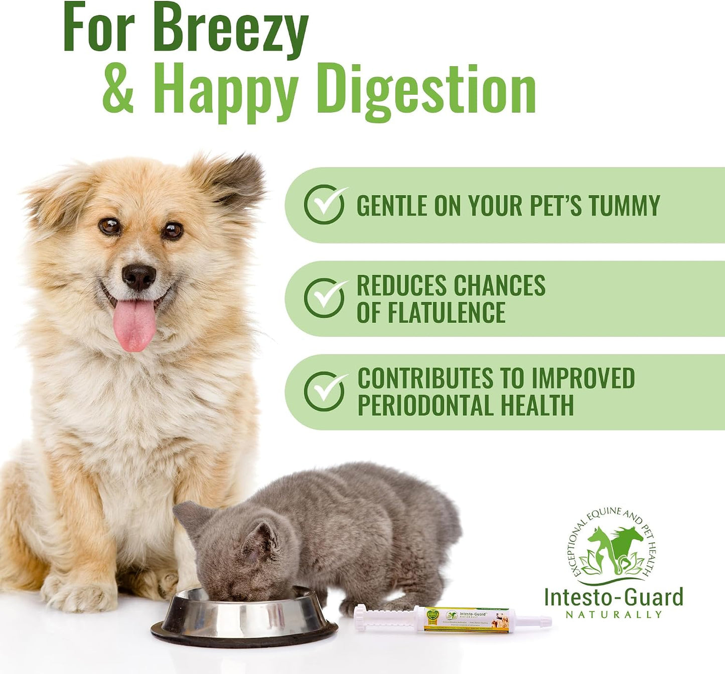 Probiotic Paste for Dogs – Prebiotic Gut Support & Immune Boost, All Natural, 60ml - görsel 5