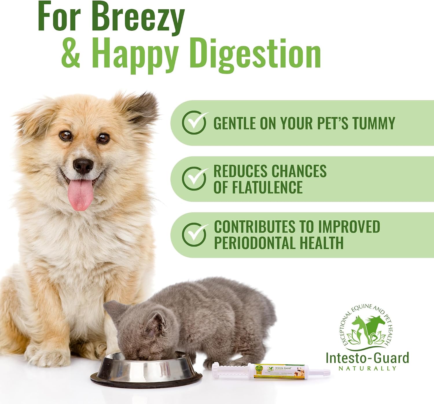 Probiotic Paste for Dogs – Prebiotic Gut Support & Immune Boost, All Natural, 60ml - görsel 5