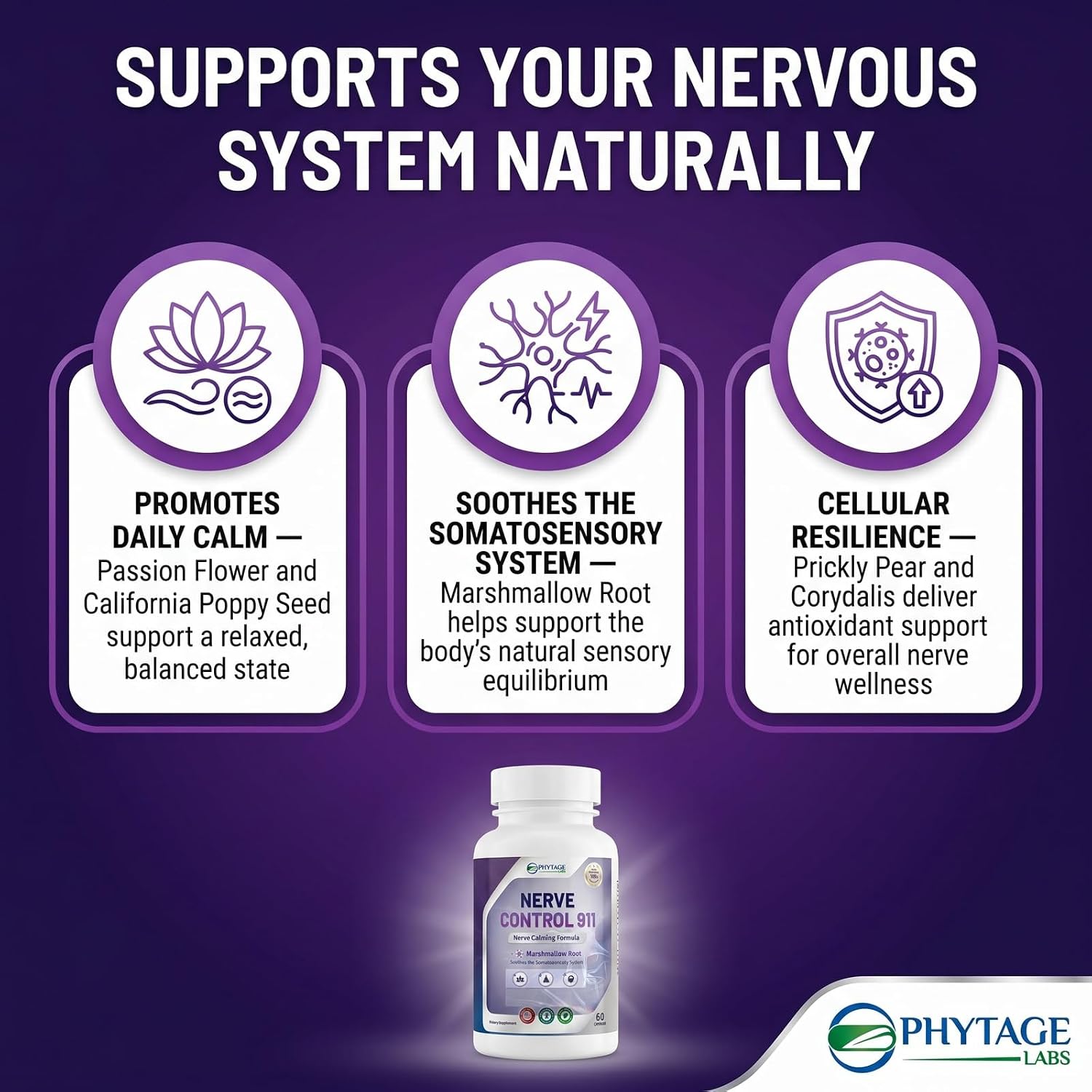 Phytage Labs Nerve Control 911 – Herbal Nerve Support Supplement – 60 Capsules - görsel 5