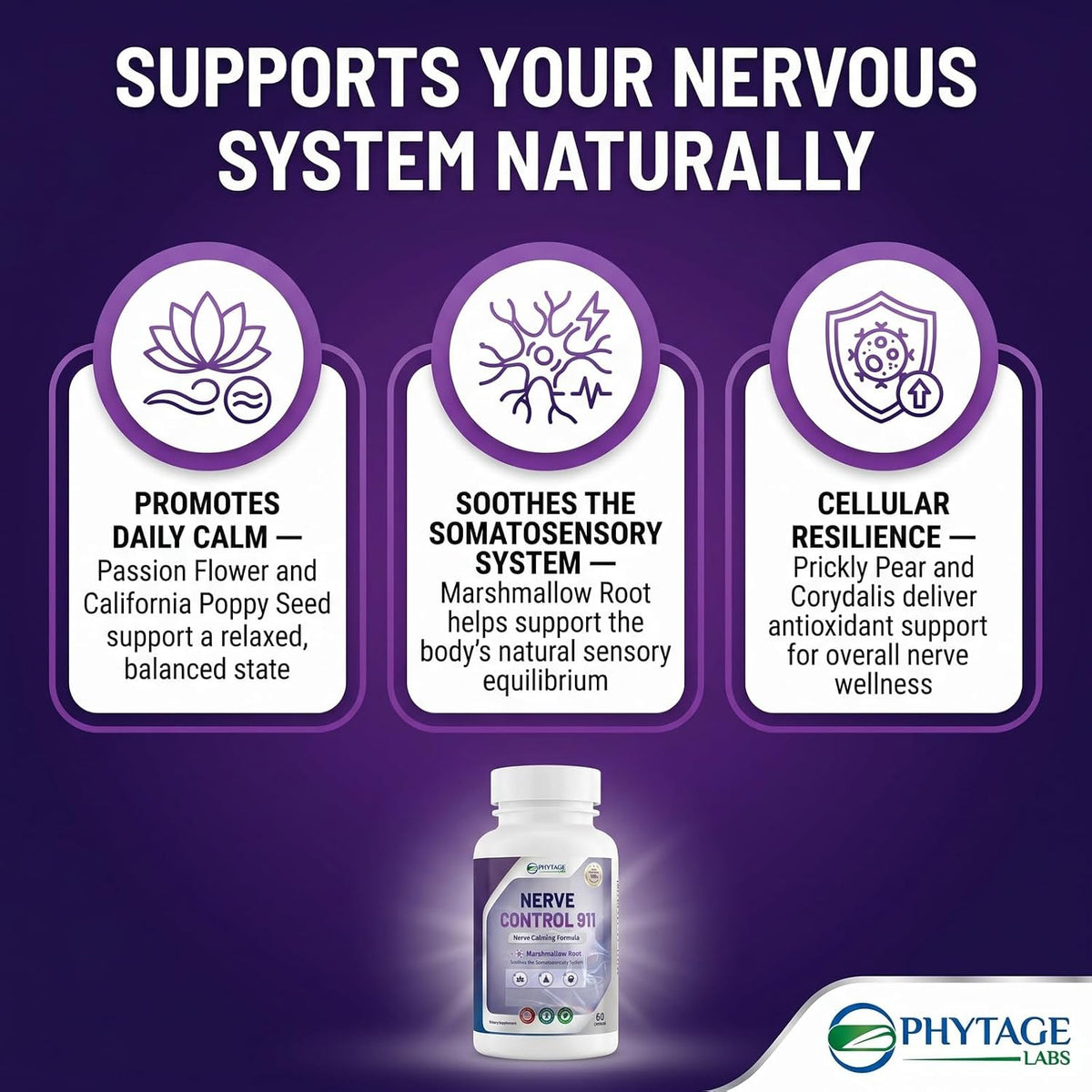 Nerve Control 911 – Advanced Botanical Nerve Support Supplement – 2 Pack - görsel 6