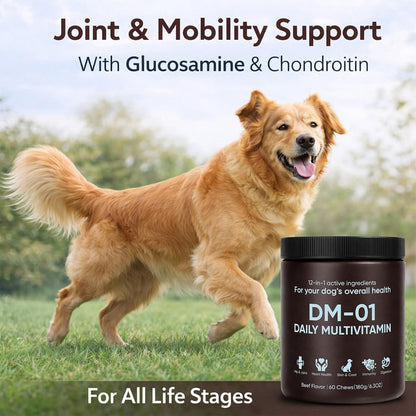 DM-01 Daily Multivitamin for Dogs - Supports Skin & Coat, Joints & Digestion, Beef Flavour, 60 Chews