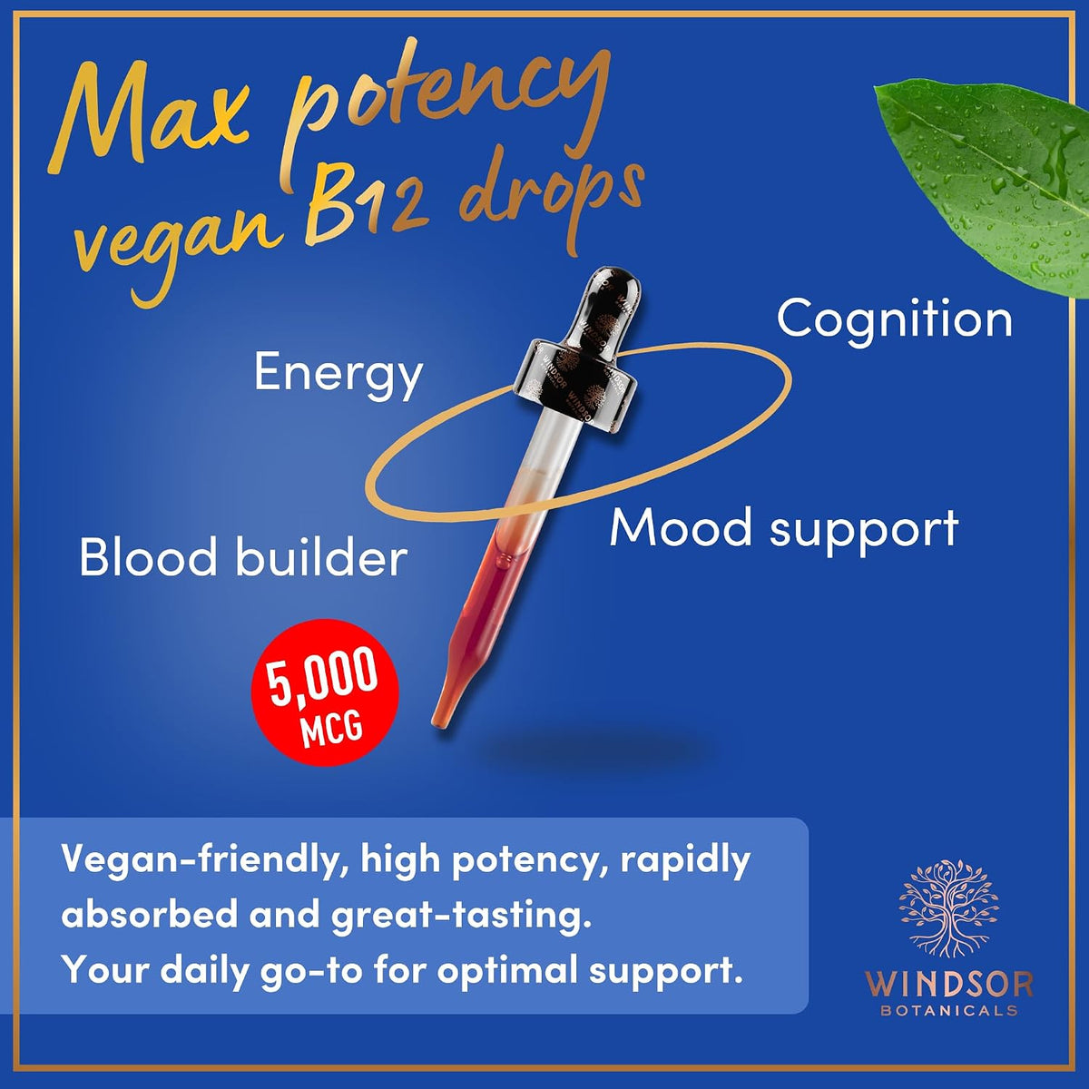 WINDSOR BOTANICALS Vegan Vitamin B12 Liquid – Max Strength 5000 mcg Methylcobalamin Sublingual Drops – Citrus Flavour - görsel 2