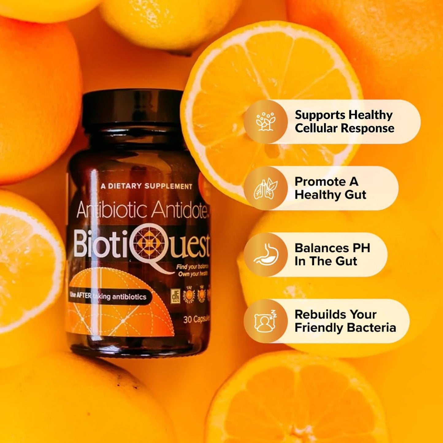 BiotiQuest Antibiotic Antidote Probiotics – Rebalance After Antibiotics, 20 Billion CFU, Non-GMO, Gluten-free, 30 Capsules - görsel 5