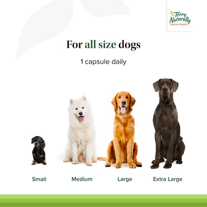 Terry Naturally Bladder Control for Dogs – Urinary Tract Health Supplement – 30 Capsules