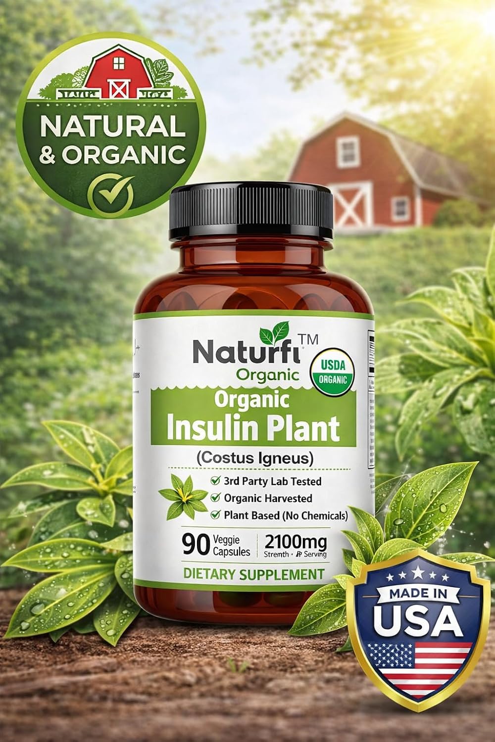 Naturfi Organic Insulin Plant Capsules (Costus Igneus) - Certified Organic, 90 Veggie Caps - görsel 3