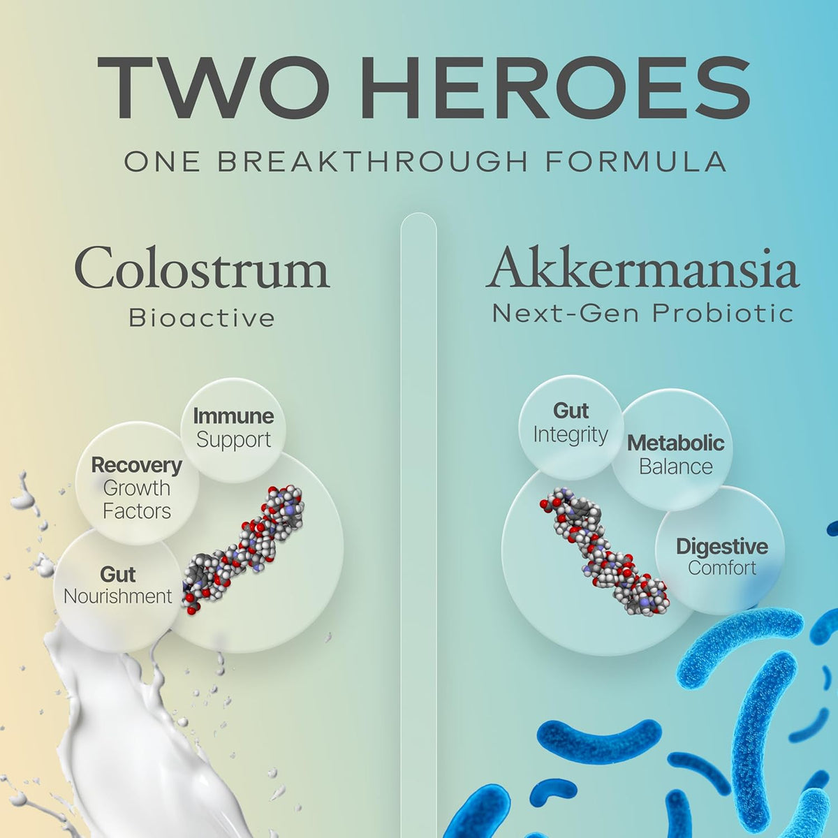 Prime Powders Colostrum Powder – Grass-Fed Bovine Colostrum with Akkermansia Probiotic, 120 Servings - görsel 3