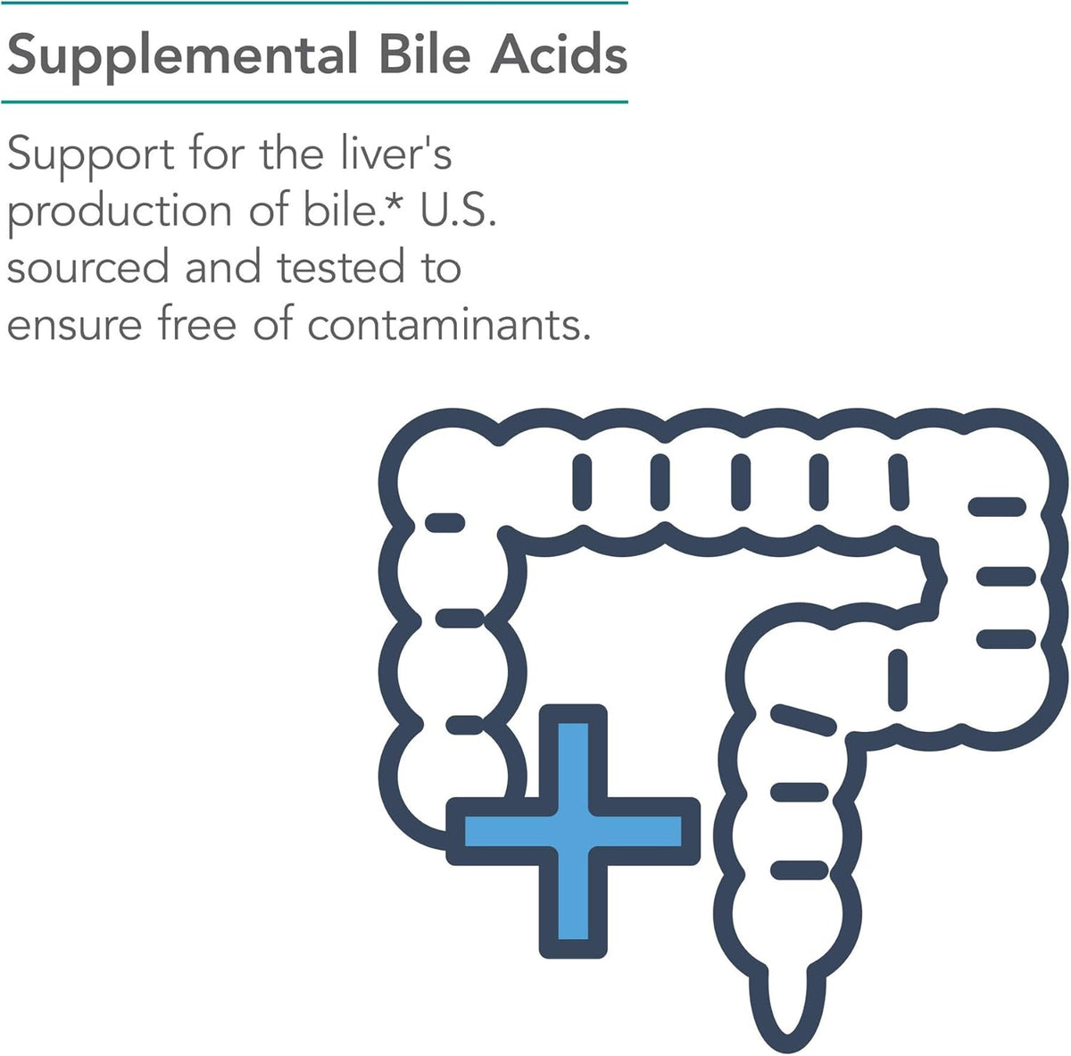 NutriCology Ox Bile 500 mg – Concentrated Bile Salts for Fat Digestion – 180 Capsules - görsel 4