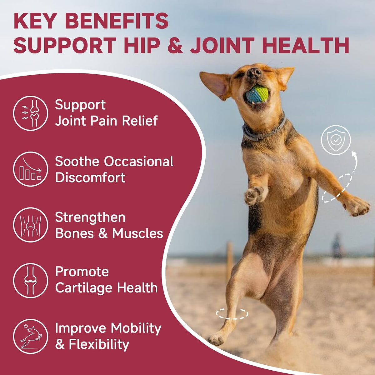 Hip & Joint Supplement for Dogs – Glucosamine with MSM, Chondroitin, Omega-3, Turmeric, Calcium – 180 Freeze-Dried Chews - görsel 2
