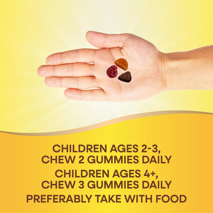 Nature's Way Alive! Children's Premium Gummy Multivitamin (90 Gummies)