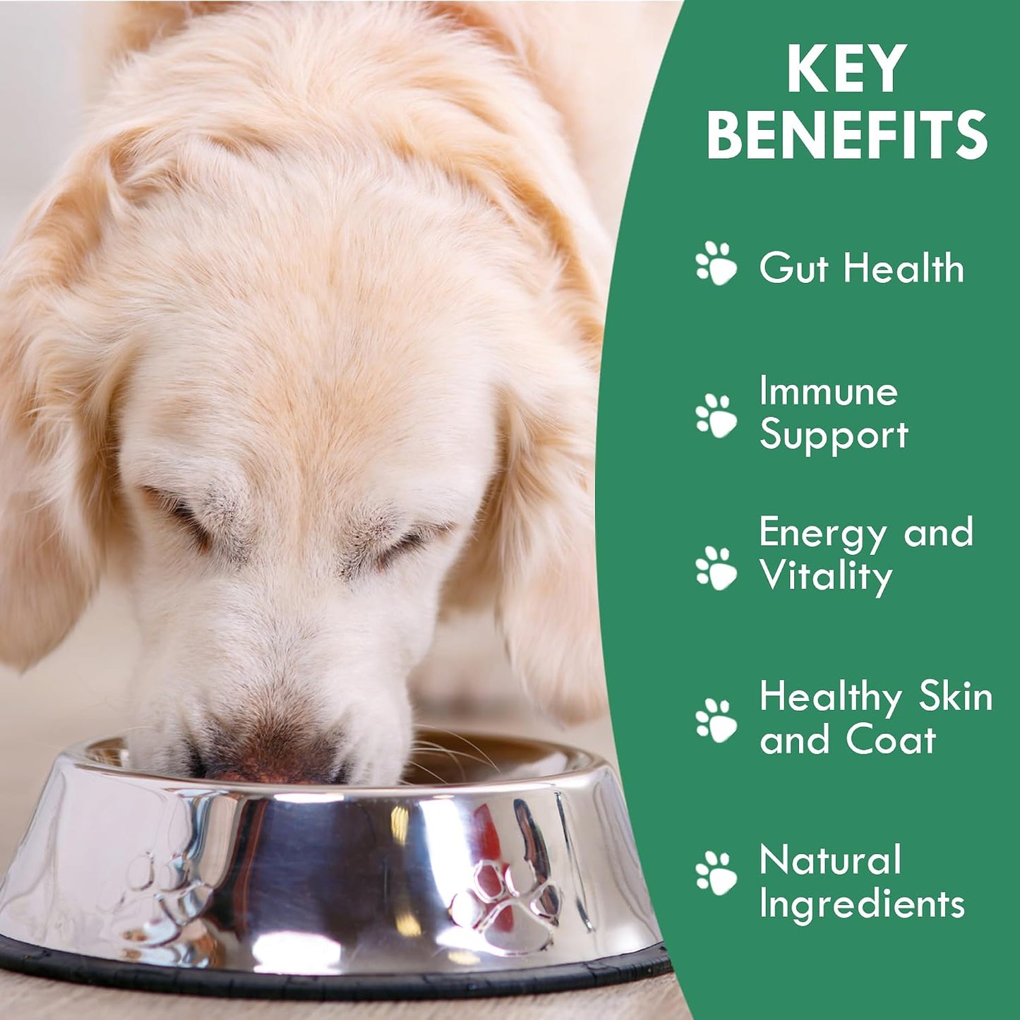 Canine Fermented Farmer's Blend | Nutrient-Rich Dog Food Topper | Plant-Based Supplement for Gut Flora | Pumpkin, Spinach, Fruit and Vegetable Powder Mix (50g) - görsel 2