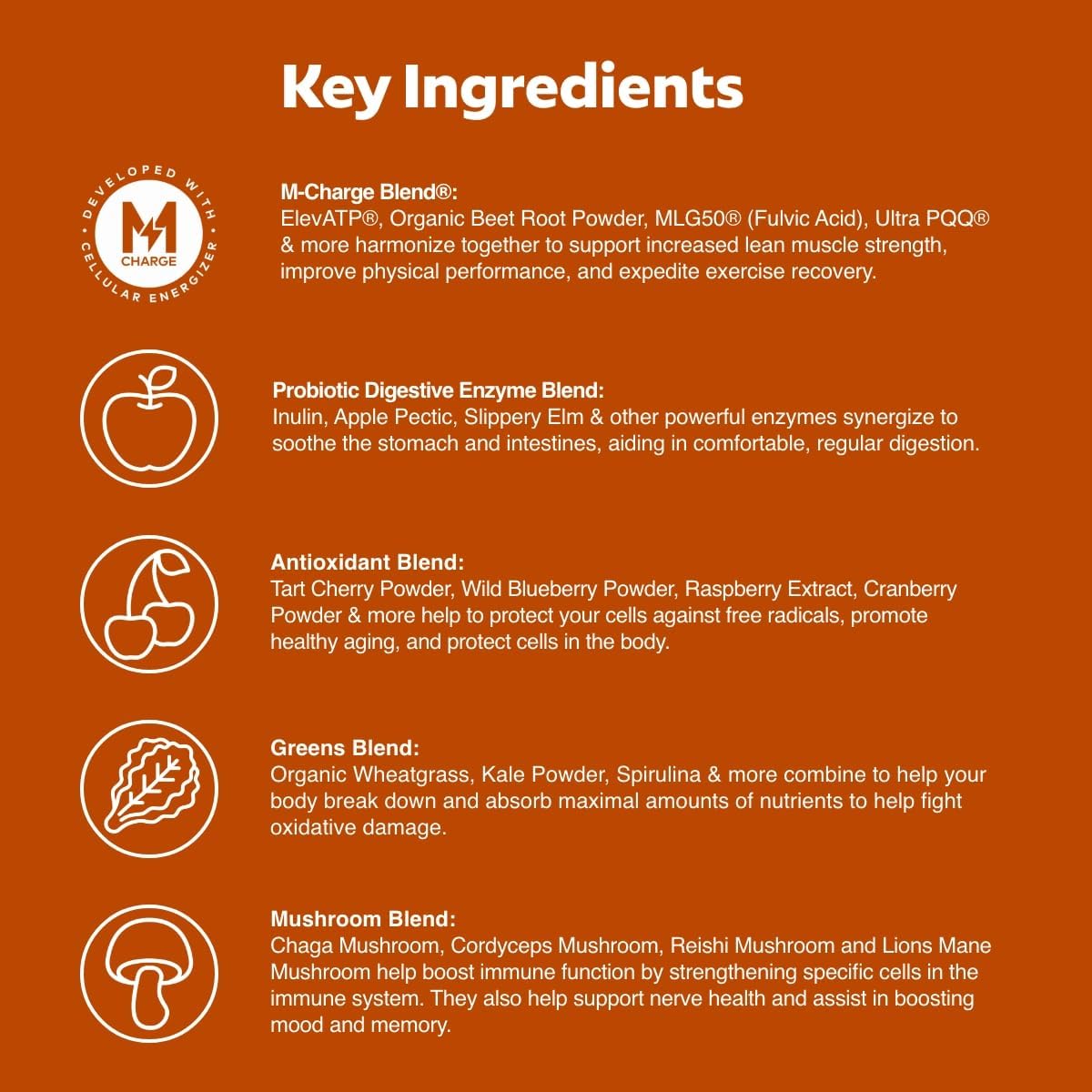 L'Evate You Vitality Daily Greens Powder (Chocolate, 28 Servings) - görsel 3