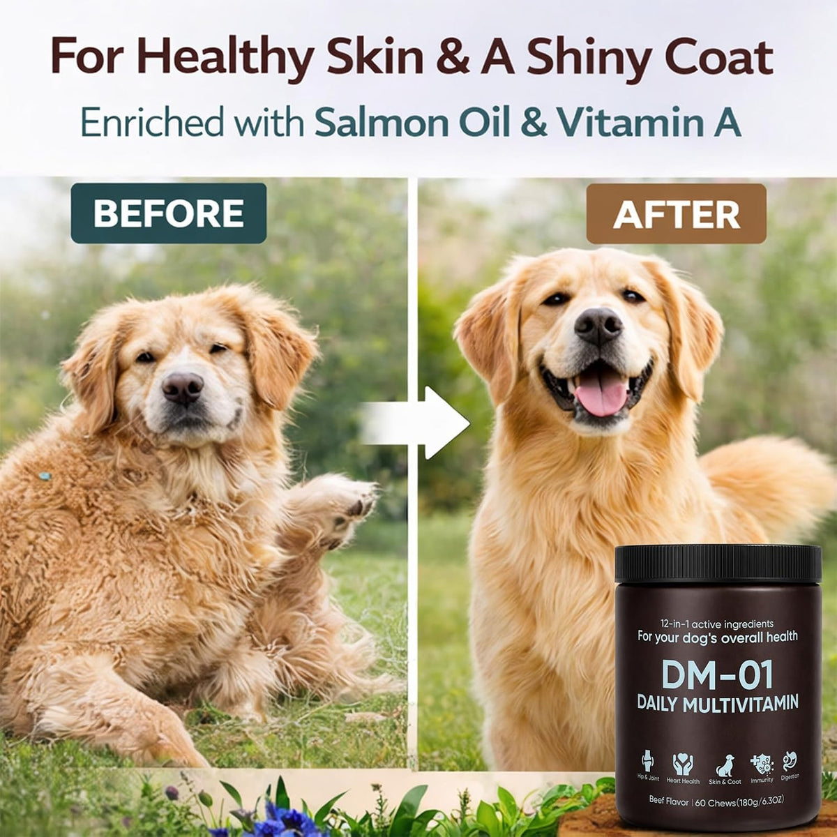 DM-01 Daily Multivitamin for Dogs - Supports Skin & Coat, Joints & Digestion, Beef Flavour, 60 Chews - görsel 4