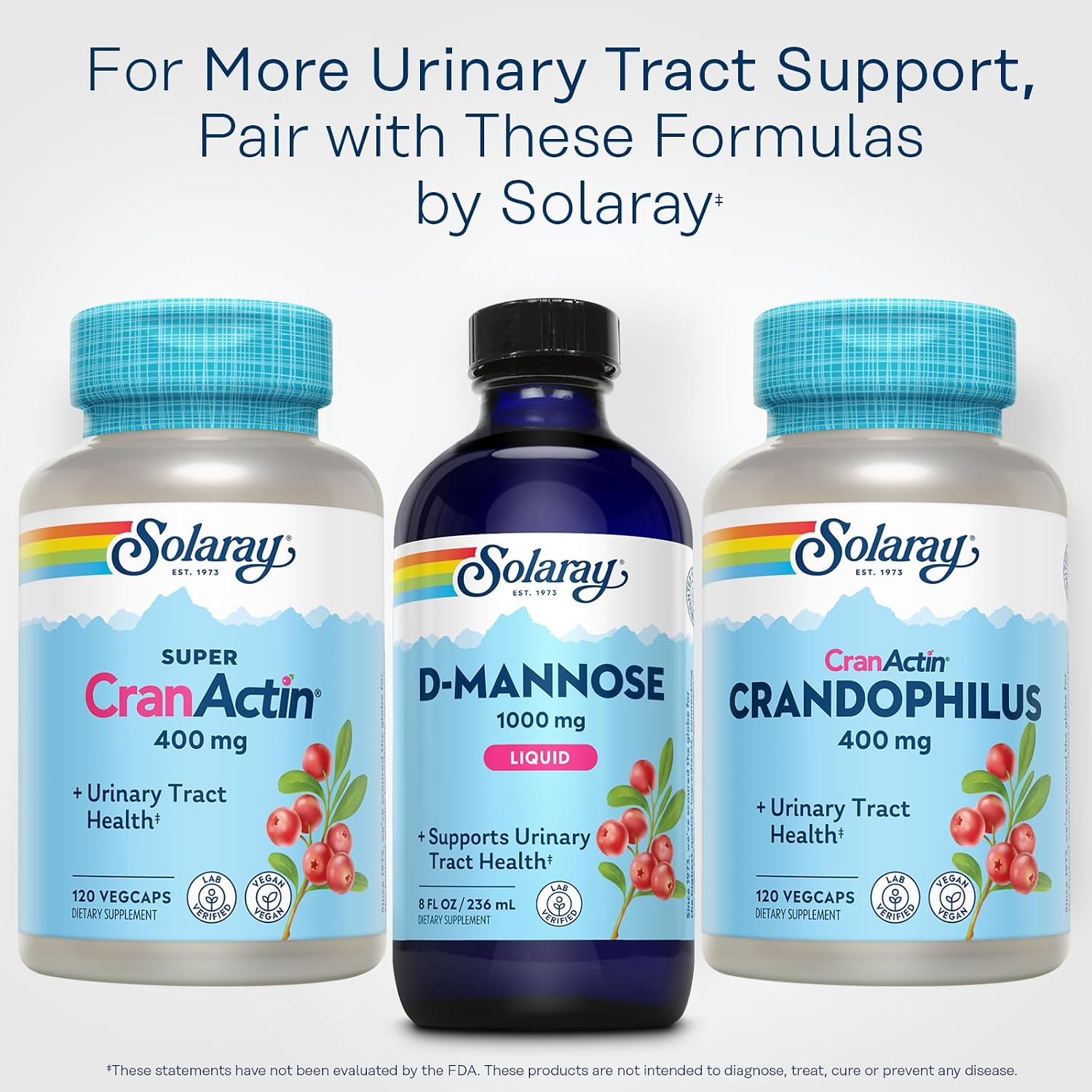 SOLARAY D-Mannose 1000 mg Liquid Formula with CranActin Cranberry Extract and Vitamin C - görsel 6