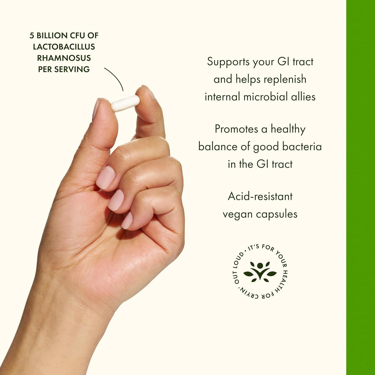 Swanson Lactobacillus Rhamnosus with FOS - 5 Billion CFU - Digestive Support with Fructooligosaccharides - Vegan - 60 Vegan Capsules - görsel 4