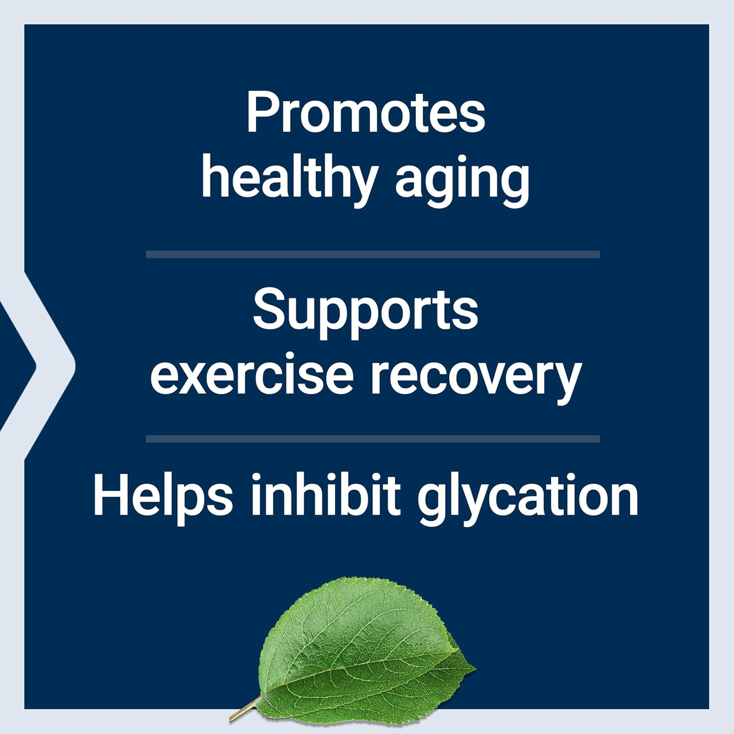 Life Extension Carnosine, Healthy Ageing, Exercise Recovery, Gluten-Free, Non-GMO, Vegetarian, 60 Capsules - görsel 4