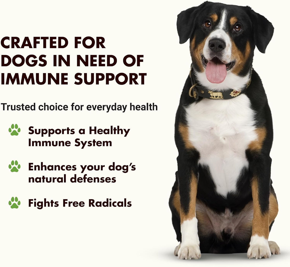 Liquid-Vet Immune Support for Dogs – Antioxidant Protection and Gut Health - görsel 2