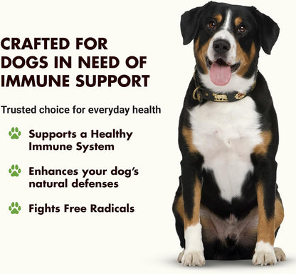 Liquid-Vet Immune Support for Dogs – Antioxidant Protection and Gut Health