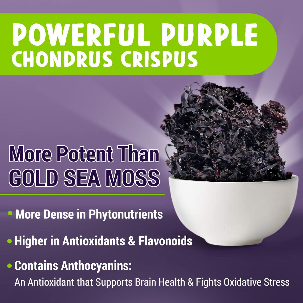 MAJU's Powerful Purple Sea Moss Capsules (60 ct) – Extra-Strength Purple Minerals, Wild Harvested Chondrus Crispus - görsel 2