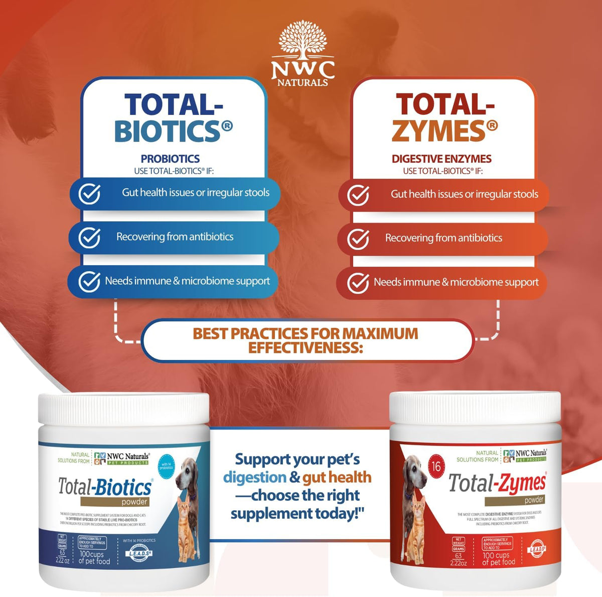 Mini Twin Pack Probiotics for Dogs and Cats - Digestive Enzymes & Probiotic Powder by NWC Naturals - görsel 6