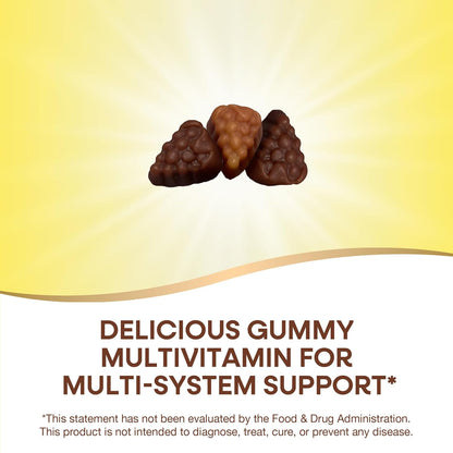 Nature's Way Alive! Adult Premium Multivitamin Gummies - Full B-Vitamin Complex, Supports Energy Metabolism & Heart Function, Grape & Cherry, 90 Count