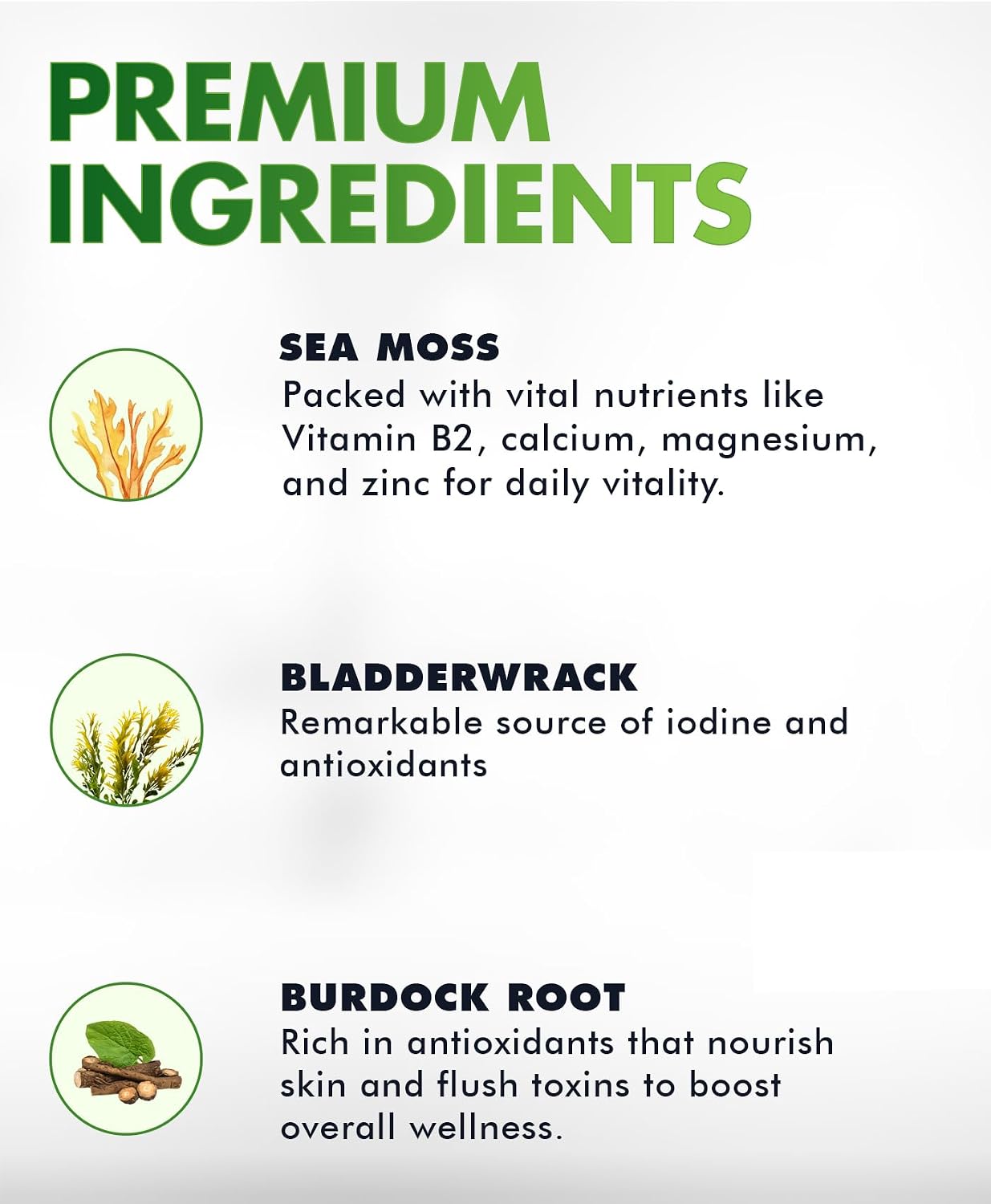 BIO VITALICA Sea Moss Gummies - Irish Sea Moss, Bladderwrack, Burdock Root (1 Pack) - görsel 3