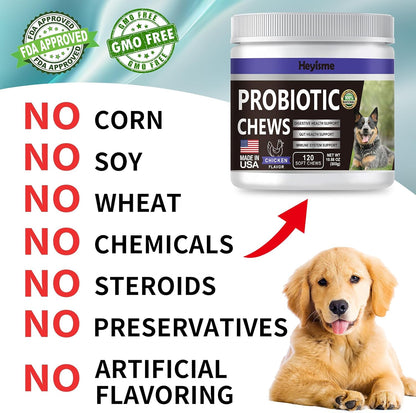 HEYISME Probiotics for Dogs - Support Gut Health, Itchy Skin, Yeast Balance, Immunity - Chicken-Flavoured, 120 Chews