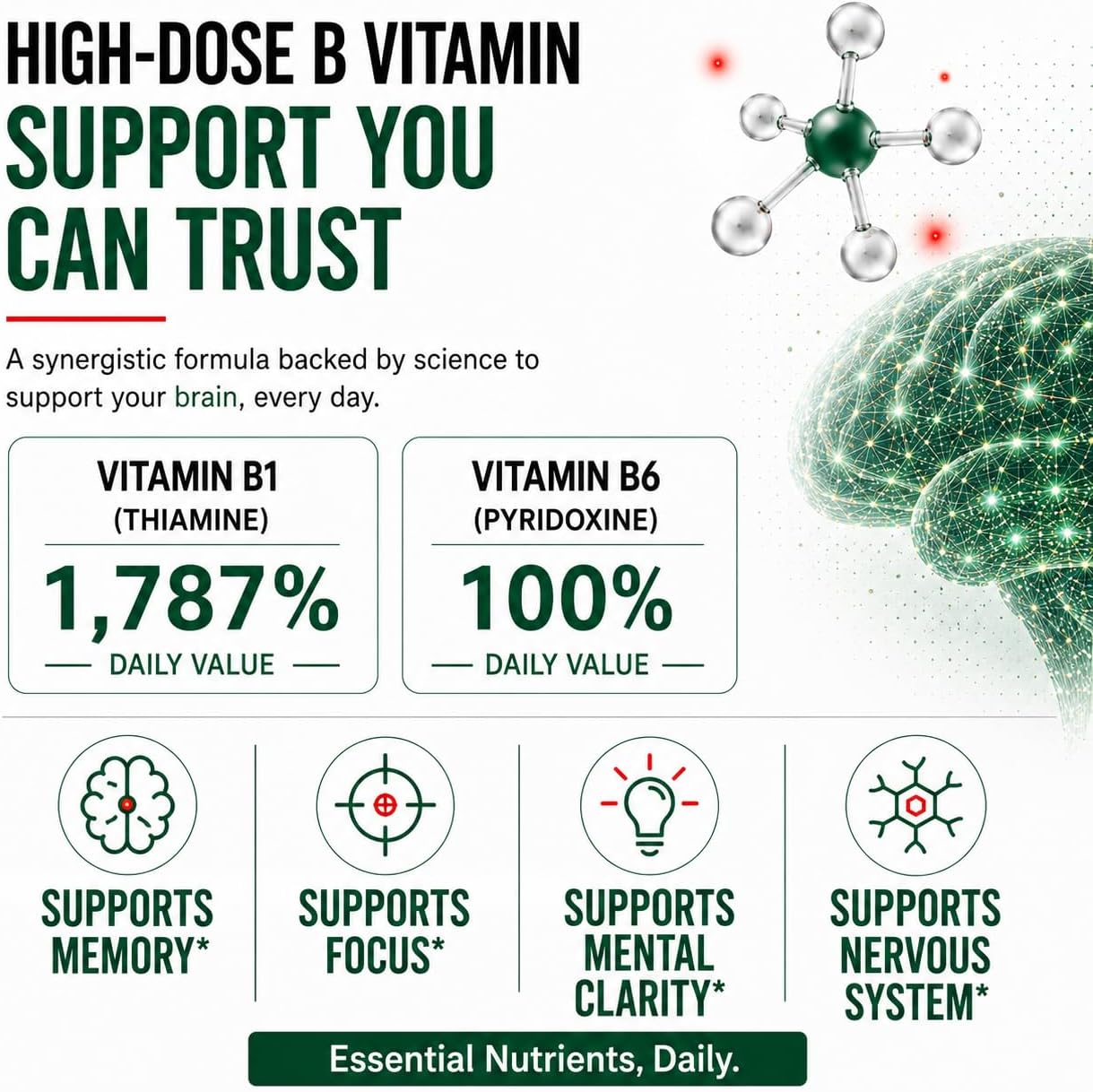 Fitina Brain Supplements for Memory and Focus with Vitamin B6 & Thiamine | High-Dose B Vitamins Nervous System and Cognitive Health Support, Daily Supplement Formula for Adults, 60 Tablets (2-Pack) - görsel 3